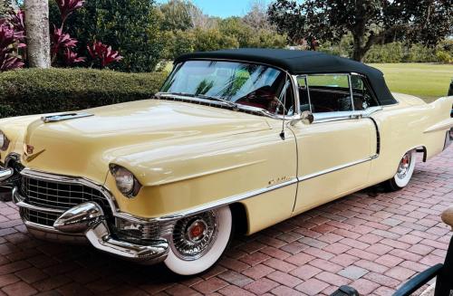 Cadillac Vintage ClassicCar WashandWax Detail Exterior